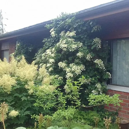 Turvalan Kotka